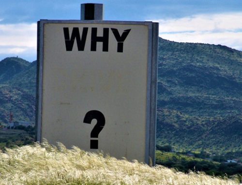 Why are you staying with your bank?