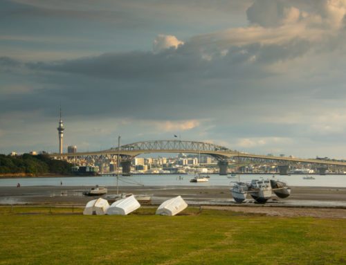 Are we experiencing growth in the Auckland Housing Market in 2018?